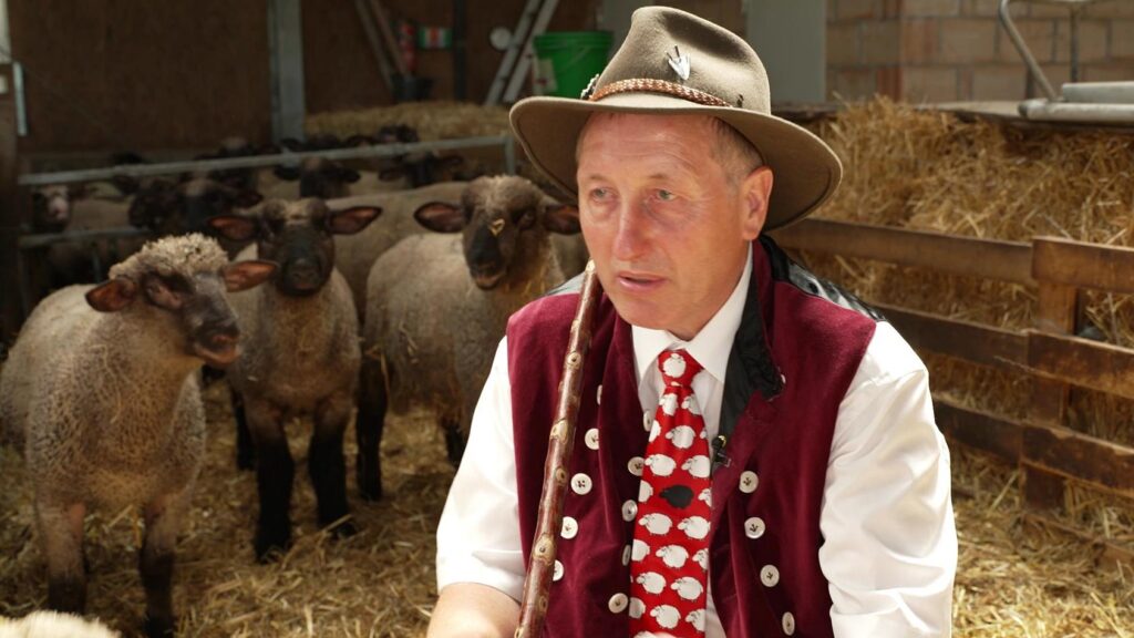 Schäfer Heinrich Vermögen