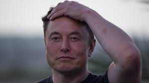 Elon Musk Gewicht