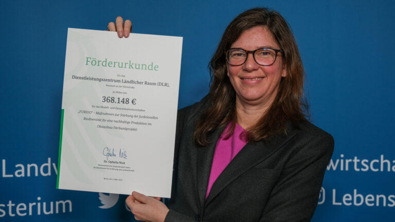 Ophelia Nick Vermögen