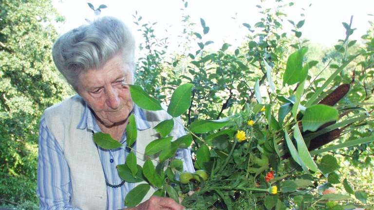 Eva Aschenbrenner Todesursache Eva Aschenbrenner Todesursache